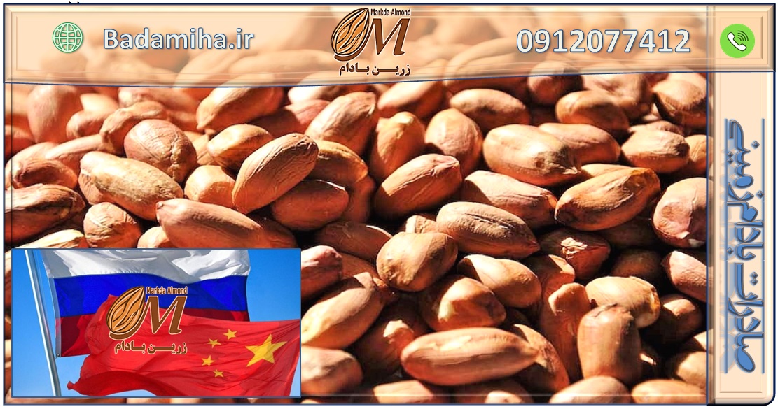 صادرات بادام زمینی به روسیه 09120774128