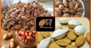 تولید و پخش انواع بادام 09120774128