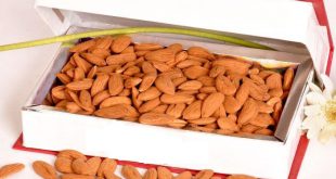 فروش مغز بادام درختی ایرانی 09120774128
