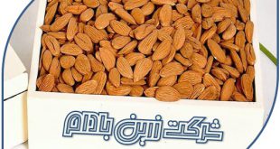 صادرات بادام شرکت زرین بادام 09120774128