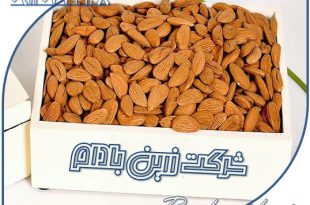 صادرات بادام شرکت زرین بادام 09120774128
