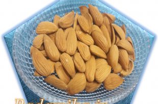 قیمت بادام مامایی تازه ۰۹۱۲۰۷۷۴۱۲۸