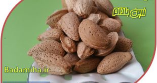 قیمت بادام درختی خام ۰۹۱۲۰۷۷۴۱۲۸