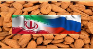 صادرات بادام به روسیه 09120774128