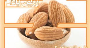 قیمت بادام سنگی شرکت زرین بادام ۰۹۱۲۰۷۷۴۱۲۸