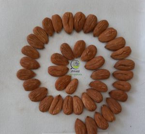فروش بادام شاهرودی 09120774128