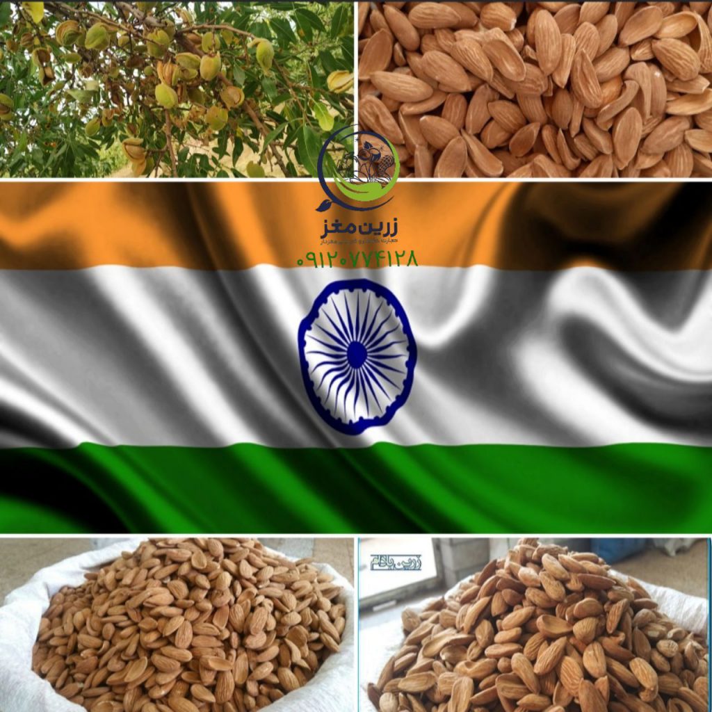 قیمت بادام مامایی در هند 09120774128
