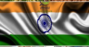 قیمت بادام مامایی در هند 09120774128