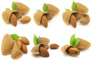 قیمت مغز بادام صادراتی ایران