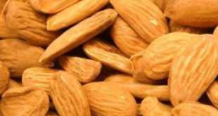 صادرات مغز بادام ایرانی