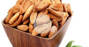 خرید و فروش بادام درختی تازه 09120774128