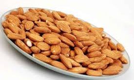خرید و فروش بادام درختی تازه 09120774128
