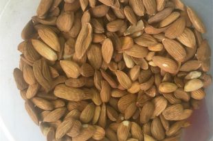 بادام تلخ شیرین شده