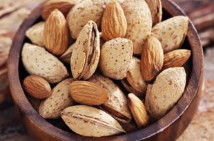 فروش بادام آجیلی شرکت زرین بادام ۰۹۱۲۰۷۷۴۱۲۸