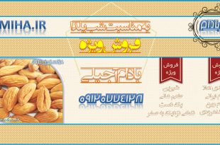 بادام آجیلی عید شرکت زرین بادام ۰۹۱۲۰۷۷۴۱۲۸