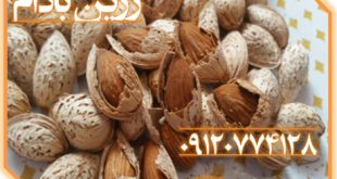 بادام آجیل کاغذی عمده ۰۹۱۲۰۷۷۴۱۲۸
