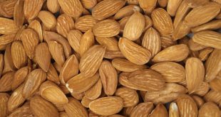 خرید و فروش بادام 09120774128
