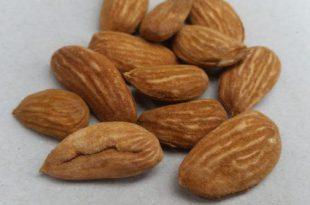 خرید بادام تازه خام 09120774128