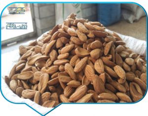صادرات مغز بادام ایرانی به کشورهای حوزه خلیج فارس 09120774128
