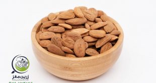 خرید بادام درختی خام