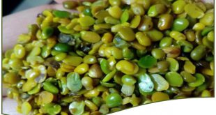 ارزانترین مغز پسته ایران فروش عمده 09120774128