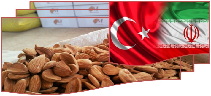 صادرات بادام به ترکیه و اروپا ۰۹۱۲۰۷۷۴۱۲۸