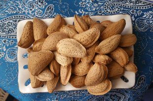 قیمت بادام درختی با پوست 09120774128