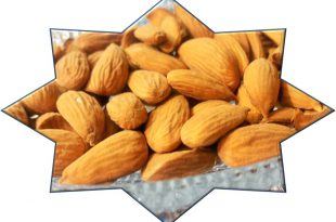 قیمت مغز بادام ایرانی درجه یک شیرین 09120774128