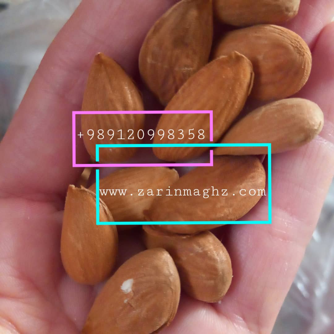 قیمت بادام سامان 09120774128